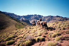 Argentina-Northern Patagonia-Rio Negro - Las Mellizas Patagonia Ride